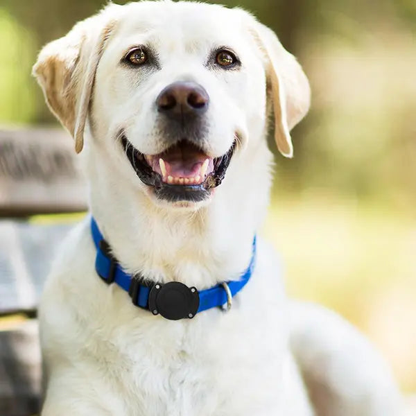 Waterproof Airtag Case for Pet Collar