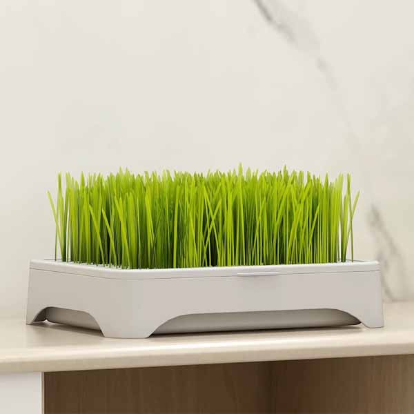 Soilless Cat Grass Planter - Smart Cat Care Solution