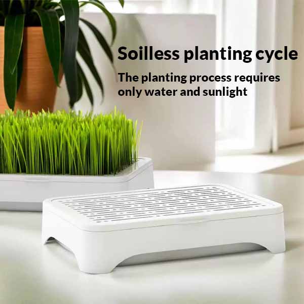 Soilless Cat Grass Planter - Smart Cat Care Solution